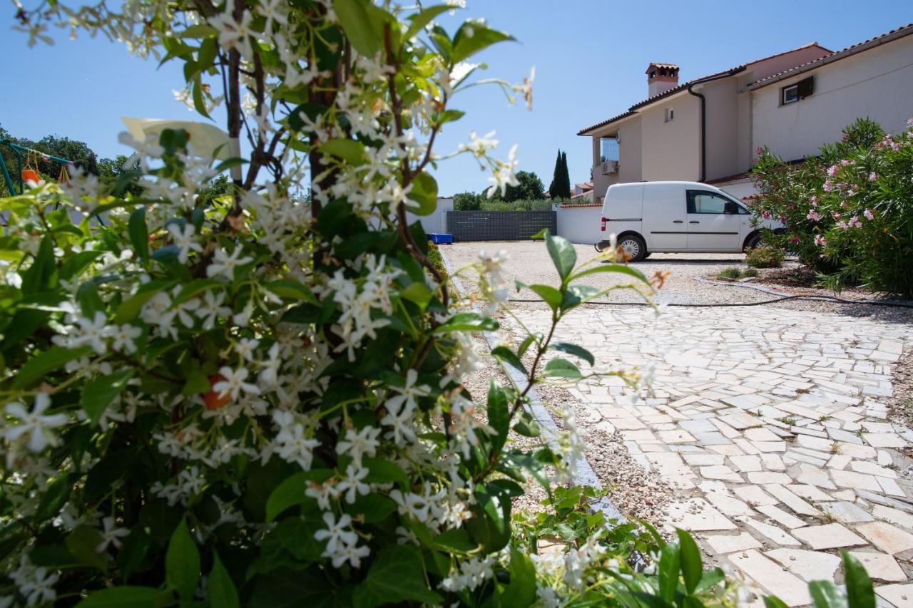 מדולין Holiday Home Petrovic מראה חיצוני תמונה